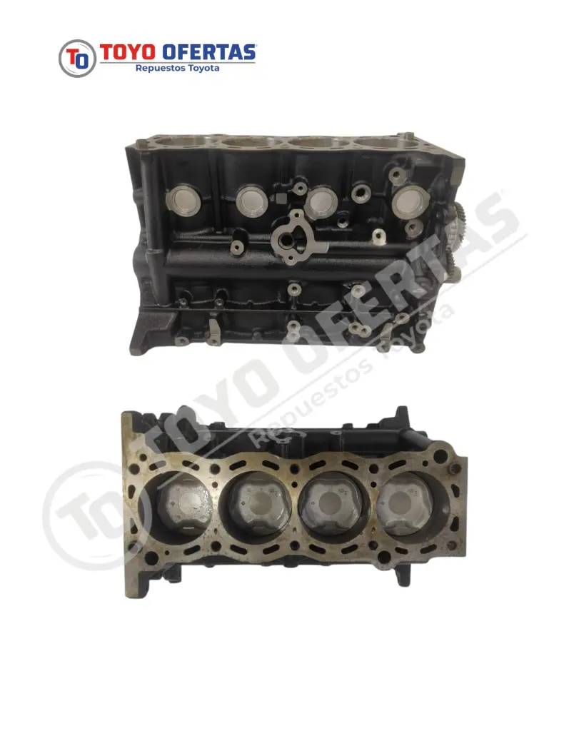 WhatsApp Image 2025-12-17 at 10.08.04 AM.webp