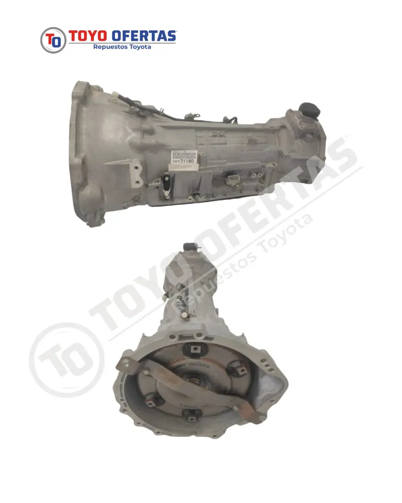 WhatsApp Image 2025-12-17 at 10.08.08 AM.webp